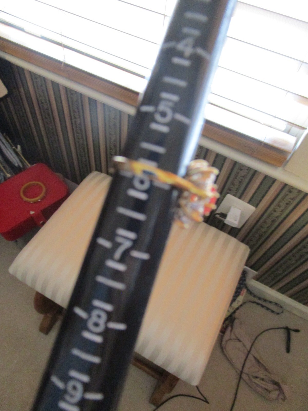 Picture 6 of 6