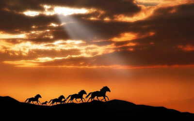 18038 Running Horse Decor Wall Print Poster