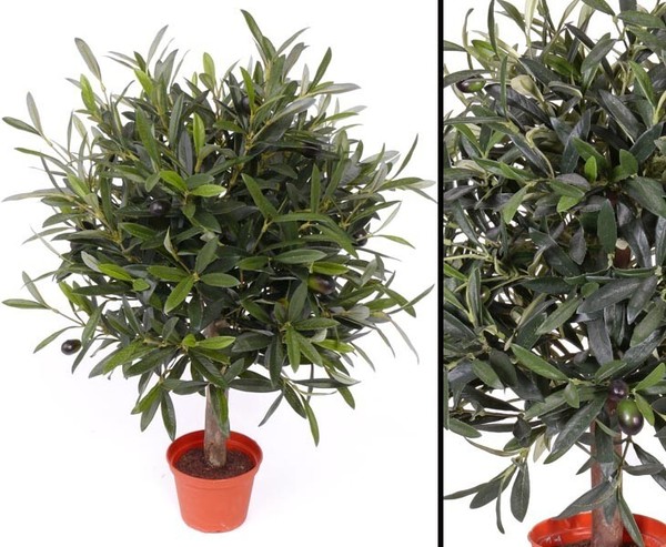 OlivenbäUmchen 50Cm Mit Durch. 35Cm, Kunstpflanze Mit 1040 BläTter Und 18 Oliven-image