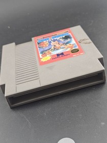 Tag Team Wrestling NES Nintendo Entertainment System Game Cartridge Untested