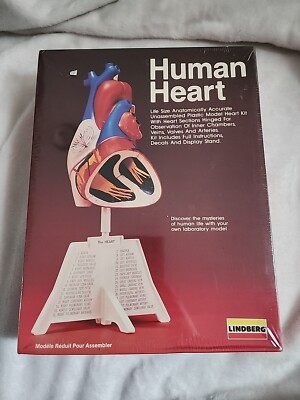 1990 LINDBERG HUMAN HEART Anatomically Accurate Plastic Model 71338 NEW!! Sealed