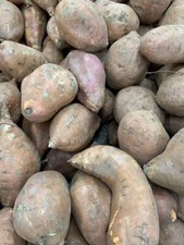 Fresh Sweet Potato 5 LBS The actual vegetable