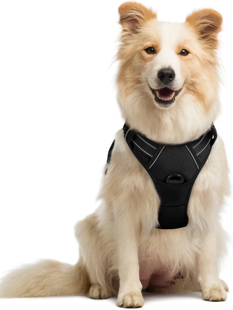 Dog Harness No Pull with 2 Leash Clips, Adjustable Soft Padded, Reflective Oxfor