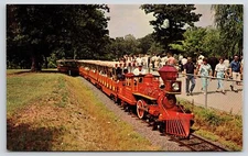 St Louis MO~Forest Park Zooline Railroad~Red Miniature Train~Engineer~1950s PC