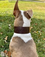 Leather Dog Custom Collar Personalized FREE Name 2" Wide Hand Made NEW