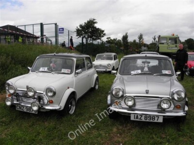 Foto 6x4 170th Omagh Annual Show (12) Mount Pleasant\/H4374 A nice wee p c2010