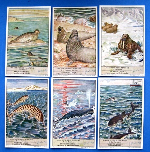 LIEBIG - S1430  F1429 - SEA MAMMALS  - SET OF 6 - 1941 - 82 YEARS OLD