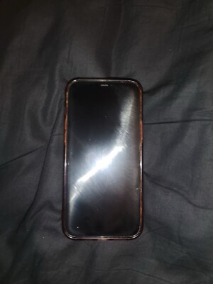 iPhone 12 Pro Max With TikTok 