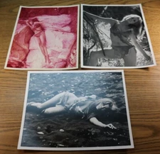 RAQUEL WELCH Lot of 3 photos 8 x 10 One Million Years BC