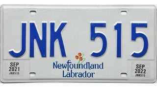 99 CENT SALE 2021 2022 Newfoundland Labrador License Plate #JNK 515 No Reserve