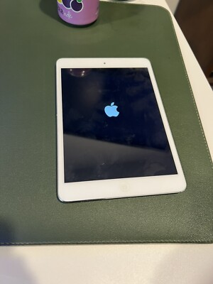 Apple iPad mini 1st Gen. 16GB, Wi-Fi, 7.9in - Space Gray