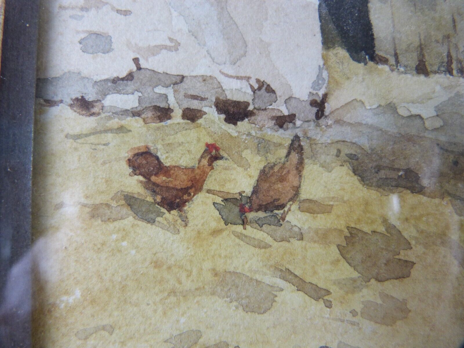 Picture 8 of 10