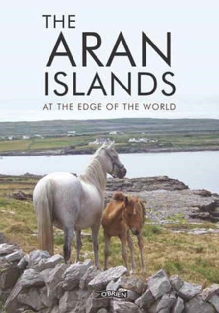 The Aran Islands: At the Edge of the World by Curriculum Dev Unit (PB 2017) - Image 2