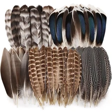 iHUFeather 40pcs Natural Pheasant Feathers Bulk Spotted Feathers 5 Styles Mix...