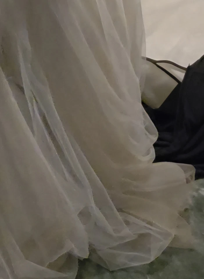 VLADIYAN  $2240 wedding Gown, Size 10 Tags Attached. Not Altered Sample Gown - Image 4 of 4