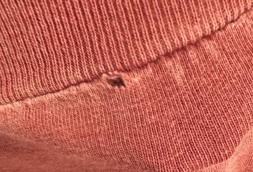 T-shirt manica lunga SOUTHERN FRIED COTTON taglia small rossa Greenville SC BUCHI cane - Foto 14 di 19