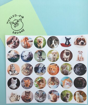 Freestyle Libre 1 & 2 Sensor Aufkleber x6 - Katzen und Hunde