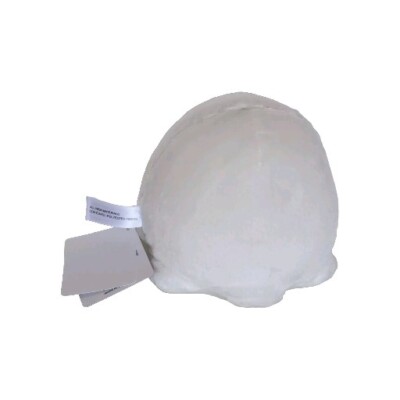 ⚠️mochi 12_ed8e6f02-1108-425a-a163-