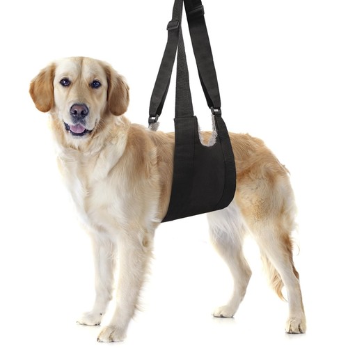 Dog Lift Harness Adjustable Dog Sling for Large Dogs Hind Leg Support