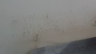 Bild 4 von 4