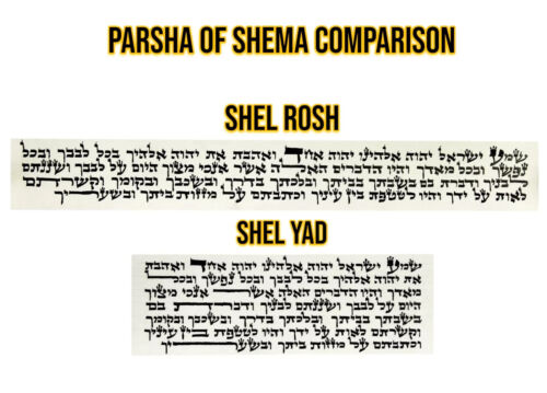 Tefillin Gassot Beis Yosef (Ashkenazi) - Kosher (100% Kosher Guarantee) - Picture 2 of 5