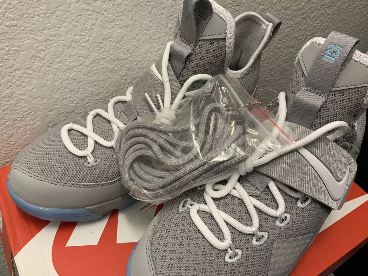 lebron xiv gs