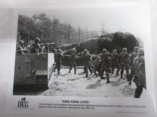 DEG 1986 Scene from King Kong Lives, Preparing LADY KONG, 8 x 10 Photo, MINT - 第 1/3 張圖片