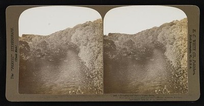 Ye banks and braes o' bonny Doon, how can ye bloom sae fresh and fair?---Burns