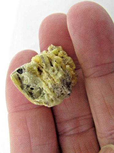 Baltic Amber stone 17 cts - rough - Bild 2 von 6