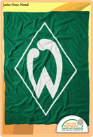 Sv Werder Bremen Fleecedecke Decke Raute GrüN Kuscheldecke Gr. 150X200Cm Neu