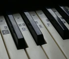 Piano Keyboard Music Note Stickers Labels Transparent  (37-88 keys) Vinyl