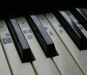Stickers Clavier de Musique Piano Étiquettes Transparentes (37-88 clés) Vinyl