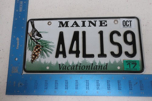 Maine ME License Plate Tag Vanity 2017 17 All for Lisa Allison A4L1S9 #1