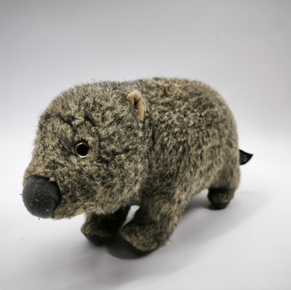 Ark Toys Wombat soft toy teddy premier plush wildlife plush Australian animal