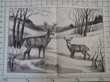 Tri Chem Picture Craft Liquid Embroidery 0893 Doe & Buck Deer Winter Hunting