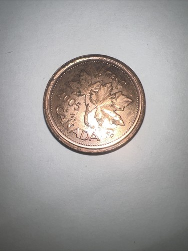 2005 QUENN ELIZABETH ONE CENT CANADA COIN - Picture 3 of 3