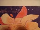 Bild 9 von 12