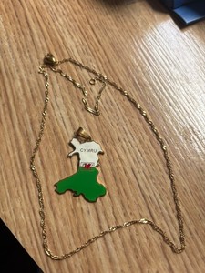 Authentic Welsh Flag Cymru Dragon detail Necklace pendant Gold plated
