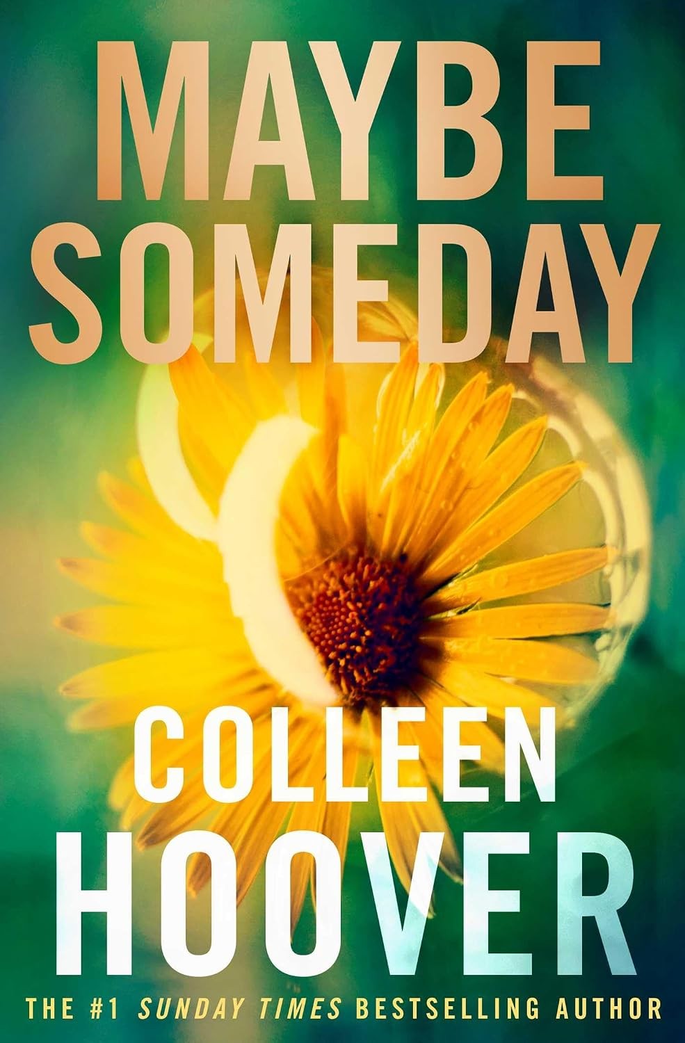 Maybe Someday Colleen Hoover Paperback Contemporary Romance Fiction