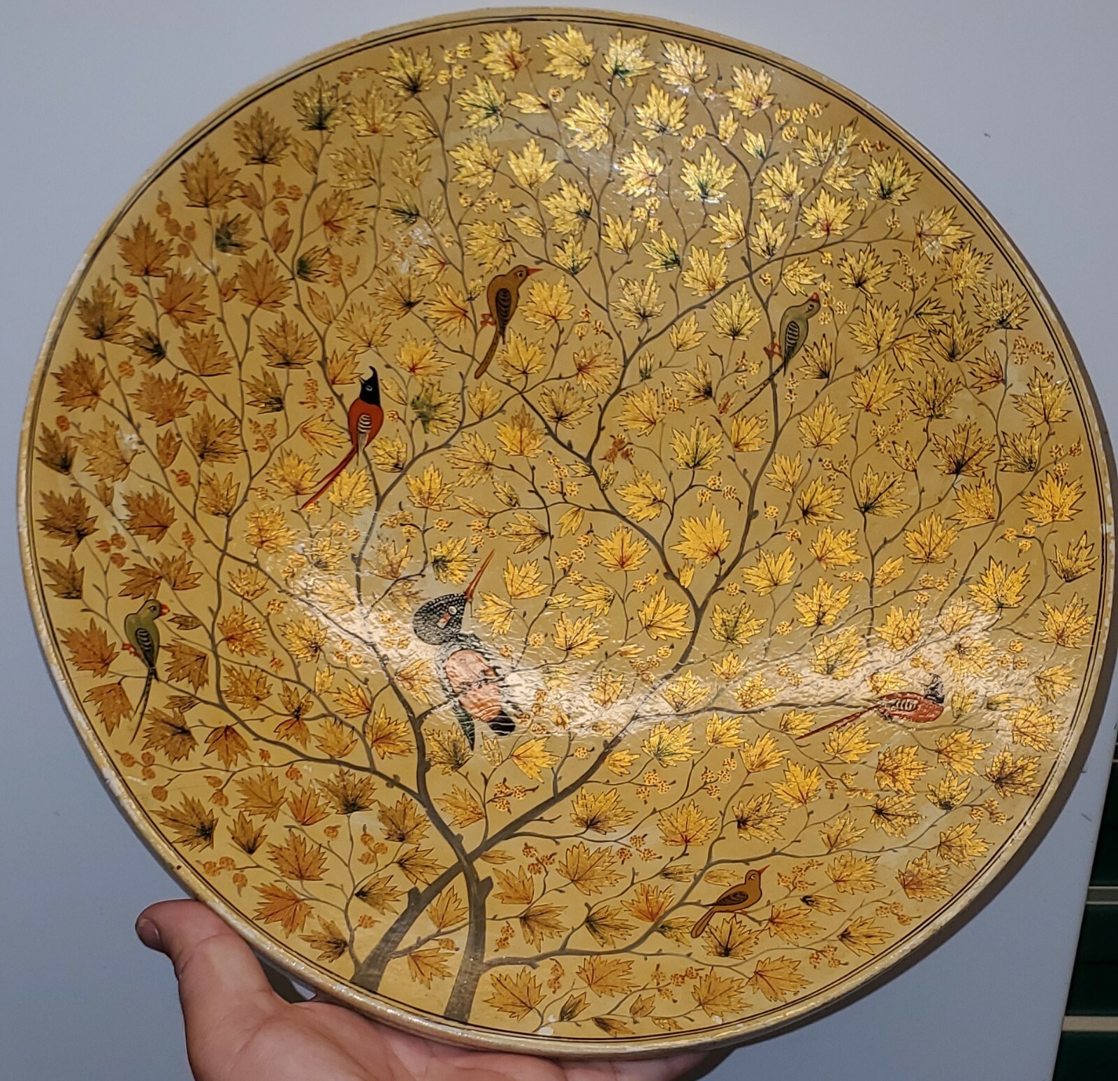 Picture 3 of 21