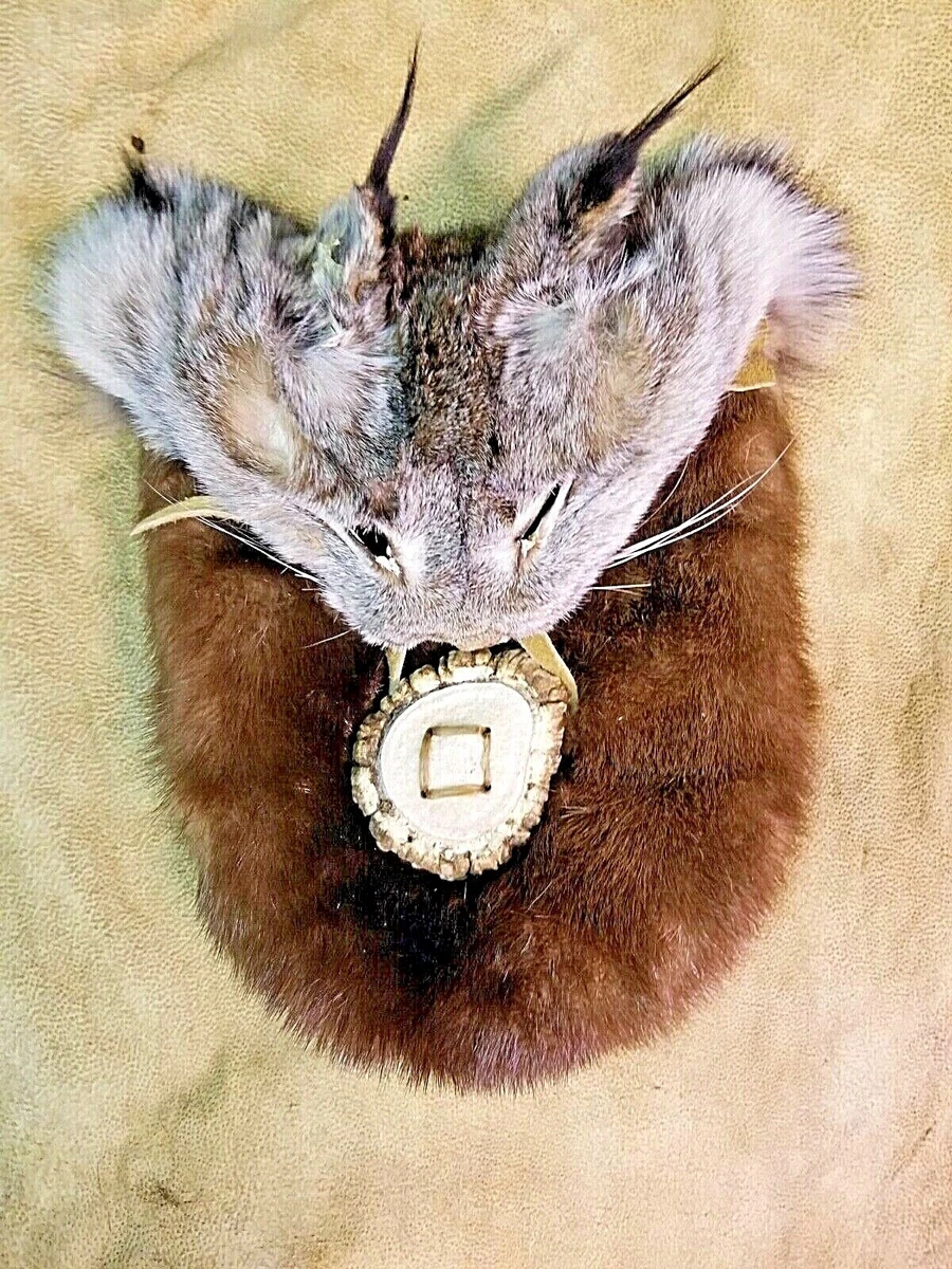 Handbag taxidermy? Louis Vuitton gets animal makeover