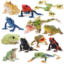 Toymany 12-pcs Frog Animal Figurine, Realistic, Collectible Hand-painted Toy Set