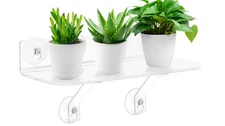 15x6 inch Suction Cup Shelf for Plants Acrylic Window Sill Extender Clear