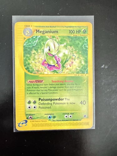 Meganium (54)