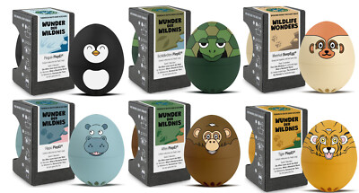 BrainStream BeepEgg - Chosse a motif