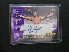 2021 Topps WWE NXT Wrestling Cards 14
