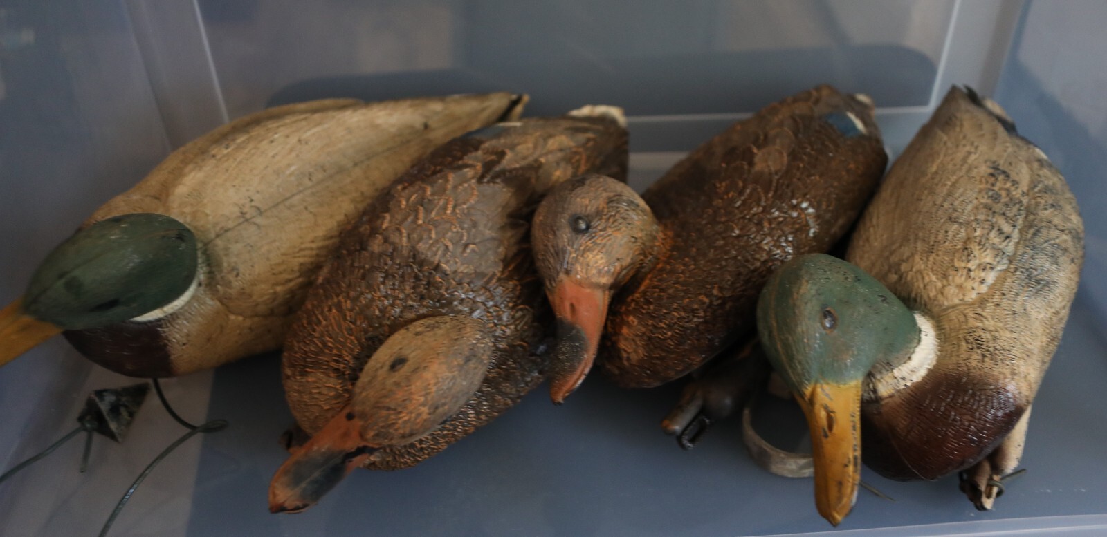 LOT of 4 Carry Lite duck decoy Drake &Hen mallard pintail MADE ITALY