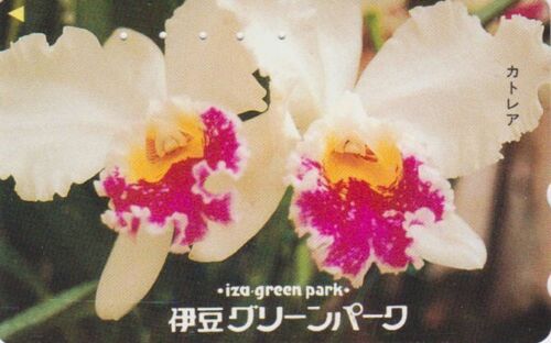 Télécarte JAPON - FLEUR ORCHIDEE - ORCHID  FLOWER JAPAN phonecard - ORQUIDEA - Photo 1/1