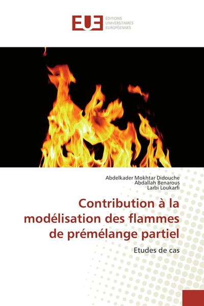 Contribution à La ModéLisation Des Flammes De PréMéLange Partiel Etudes De Cas-image