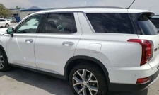 2020-2024 Hyundai Palisade LH Driver Roof Curtain Airbag OEM